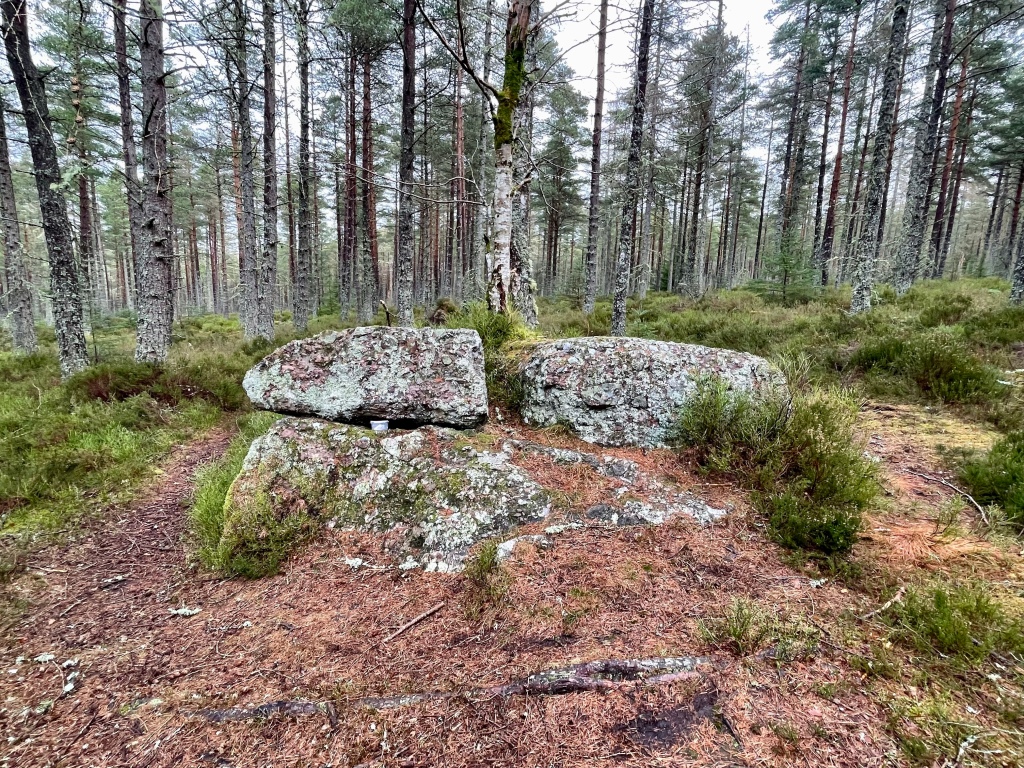 Large stone surrounded by trees 